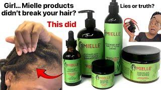 Girl Mielle Organics didn’t break your hair SIS? This DID Hair falling out Lies or truth?