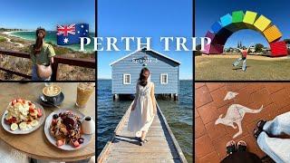 【 Australia vlog 】世界一美しい街パース旅行｜Ep.3｜念願のコアラに会いに