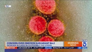 Concern grows over omicron subvariant in California