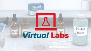 McGraw Hill Virtual Labs® Overview