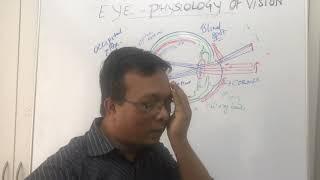Anatomy of EyeRefractive errors and Pathophysiology of Glaucoma