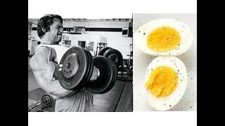 TESTOSTERONE LEVEL OF THE 36 EGG A DAY DIET