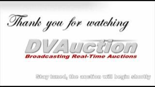 DVAuction Presale Promotional