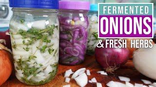 FERMENTED ONIONS - Delicious & Easy Recipe with a unique probiotic profile