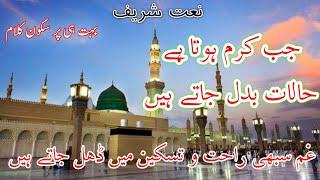 Gham Sabhi Rahat O Taskeen  Hafiz Tasadduq Rasool Attari  Lyrics Naats