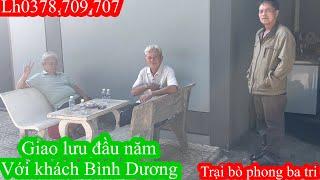 Trại bò phong ba tri 2Giao lưu với khách Bình Dương