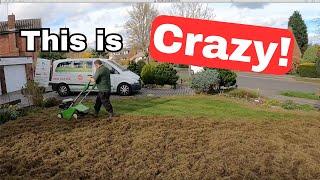 Scarifying A VERY THICK Thatchy Lawn