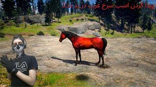 پیدا کردن اسب قرمز عرب در رد دد ردمپشن۲ arabian red horse in rdr2