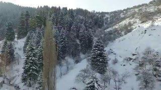 Зима в горах Алматы