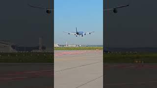 Aurbus A340-300 landing Frankfurt EDDF 25C