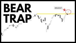 Technical Analysis of Stocks SPY  QQQ  NVDA  TSLA  AMD  PLTR  ARM  SMCI