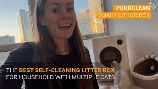 This Litter Box is a Game Changer For Cat Owners  Self Cleaning Cat Litter Box Review  INSTACHEW