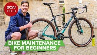 3 Essential Bike Maintenance Tips For Beginners  Maintenance Monday