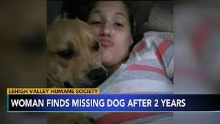 2 YEARS LATER Woman finds missing dog while looking for new pet