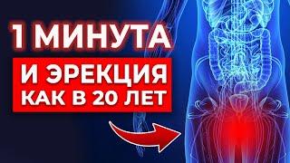 Эрекция гарантирована Как восстановить ЭРЕКЦИЮ за минуту?