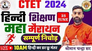  CTET July 2024  HINDI PEDAGOGY MARATHAN  HINDI PEDAGOGY FOR CTET  CTET PREVIOUS YEAR QUESTIONS