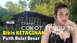 Sungguh Gemoy Montok  Suasana Kehidupan Janda Di Rumah Terpencil Tengah Hutan Bambu