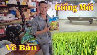 Linh Philip  Giống Mới Đặc Biệt Từ Việt Nam Lần Đầu Tiên Có Mặt Tại Châu Phi 