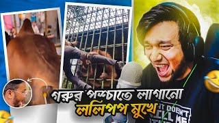 গরুর পশ্চাতে লাগানো ললিপপ মুখে  Bangla Funny Video  KaaloBador