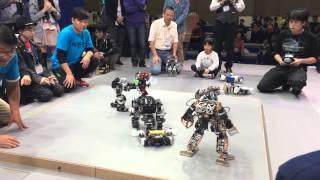 Korea International Robot Contest 2014 - Rumble