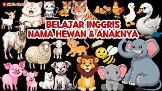 BELAJAR BAHASA INGGRIS NAMA ANAK HEWAN  BELAJAR NAMA HEWAN  EDUCATIONAL ANIMAL VIDEOS ANIMALS NAME