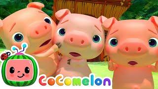 Three Little Pigs Song  CoComelon  Sing Along  Nursery Rhymes and Songs for Kids