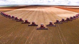 How Do American Farmers Produce Billions Of Tons Of Food - American Farming