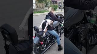 My doggie loves to ride 