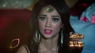 Naagin 6  Sat-Sun  8.00PM  Colors