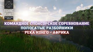 Fishing Planet  КОМАНДНОЕ СПОНСОРСКОЕ СОРЕВНОВАНИЕ - ПОЛОСАТЫЕ РАЗБОЙНИКИ. РЕКА КОНГО - АФРИКА.