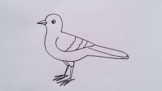 how to draw bird drawing easy step by step@aaravdrawingcreative1112