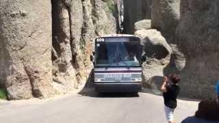 Bus passing through tunnel at Needles Highway