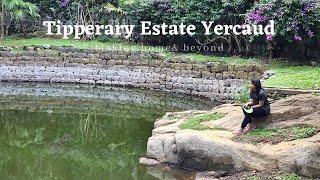 Tipperary Estate Yercaud  Tipperary Estate Tour  Making Home and Beyond