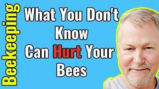 Beekeeping  How To Identify Capped Honey Capped Pupae Nectar Bee Bread and Honey