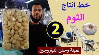 Garlic Peeling Machine & Automatic Garlic Peeling Line - خط إنتاج الثوم المقشر للتصدير