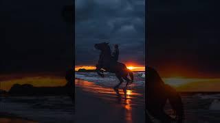 Riding Horses at sunset #shorts