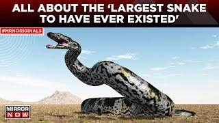 Fossil Of ‘Largest Snake To Have Ever Existed’ Found In Gujarat