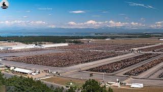 La Granja De Vacuno Más Grande De Canadá ¿Cómo Se Crían 4 Millones De Vacas? - Técnicas De Vacas