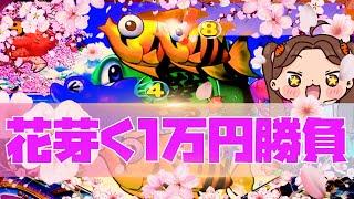 １万円勝負！ボロ負け５連敗！魚群でもあかん！海は鳴らなあたらんで！！ほんま！Pスーパー海物語 IN 沖縄5 夜桜超旋風沖海５PA大海物語5 『あげ実762海物語』海物語#パーラーあげ実