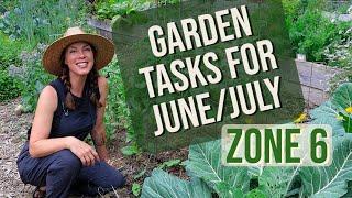 Vegetable Garden Tasks for EarlyMid Summer Zone 6