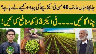 How to increase chick pea per acre yield  Pulses production technology  Kisan Kay Naam  Suno News