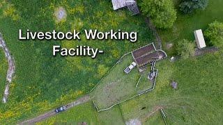 Livestock Working Facility- Site & Design Considerations