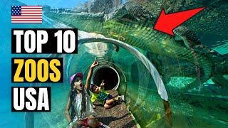 Top 10 Best Zoos to Visit in USA 2024