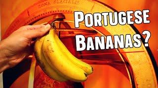 Bananas Grow In PORTUGAL Madeiran Bananas - Weird Fruit Explorer