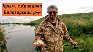 Отличная рыбалка на бесплатном водоеме в Крыму Плотва окунь карась.