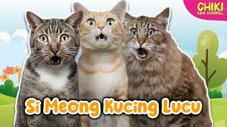 SI MEONG KUCING LUCU - Lagu Anak Indonesia Populer