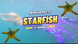 Mermaid meets Starfish - Zanzibar  2023 in 4K