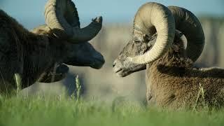 Great Faces Great Places Badlands National Park South Dakota Tourism