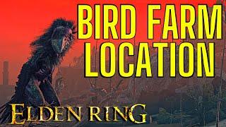 Bird Farm Elden Ring How to Get There