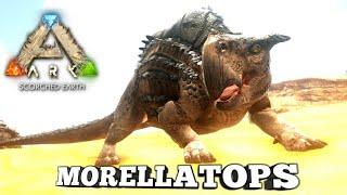 Taming A Morellatops  Ark Survival Evolved  Scorched Earth